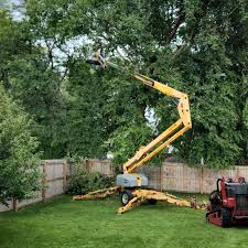 Best Tree Removal  in Wrangell, AK