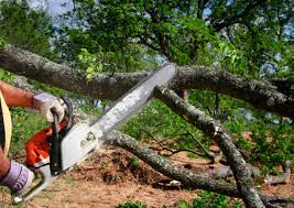 Best Stump Grinding and Removal  in Wrangell, AK